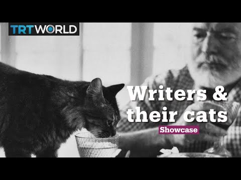 Writers and their cats | Literature | Showcase