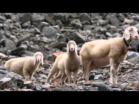 Brad  - The day brings