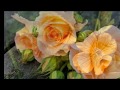 GRANADA - NANA MOUSKOURI
