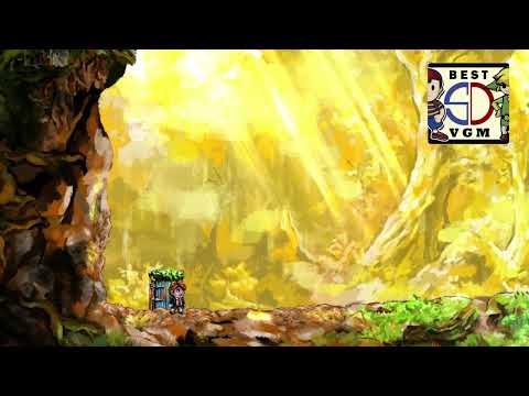 Best VGM 2598 - Braid - Downstream