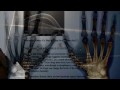Chemtrails - Beck 