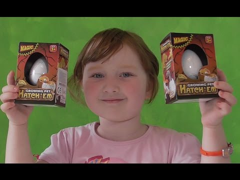 Динозавры вылупляются из яиц, GROWING PET HATCH'EM Dinosaur Egg