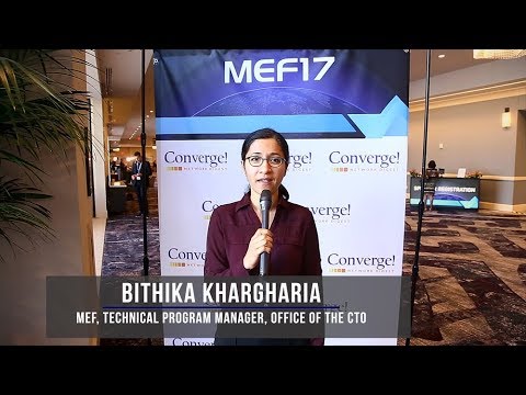 #MEF17 LSO Hackathon Overview