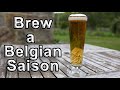 Brew a Belgian Saison