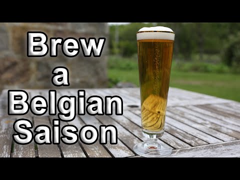 Brew a Belgian Saison