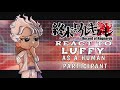 Record Of Ragnarok React To Luffy As A Human Participant