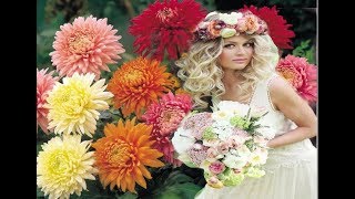 DIE AMIGOS MEINE GROSSE LIEBE