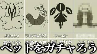 ペットを飼おう！あー！殺された！【ゆっくり実況ホラゲー】【エッグノック】 【ゆっくり実況プレイ】