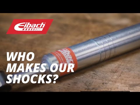 Who makes Eibach PRO-TRUCK shocks?