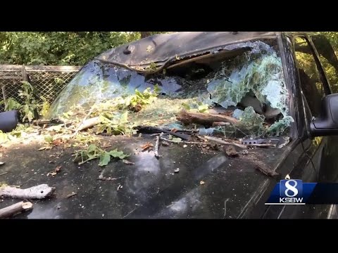 Santa Cruz Mountain residents clean up after storms bring high winds