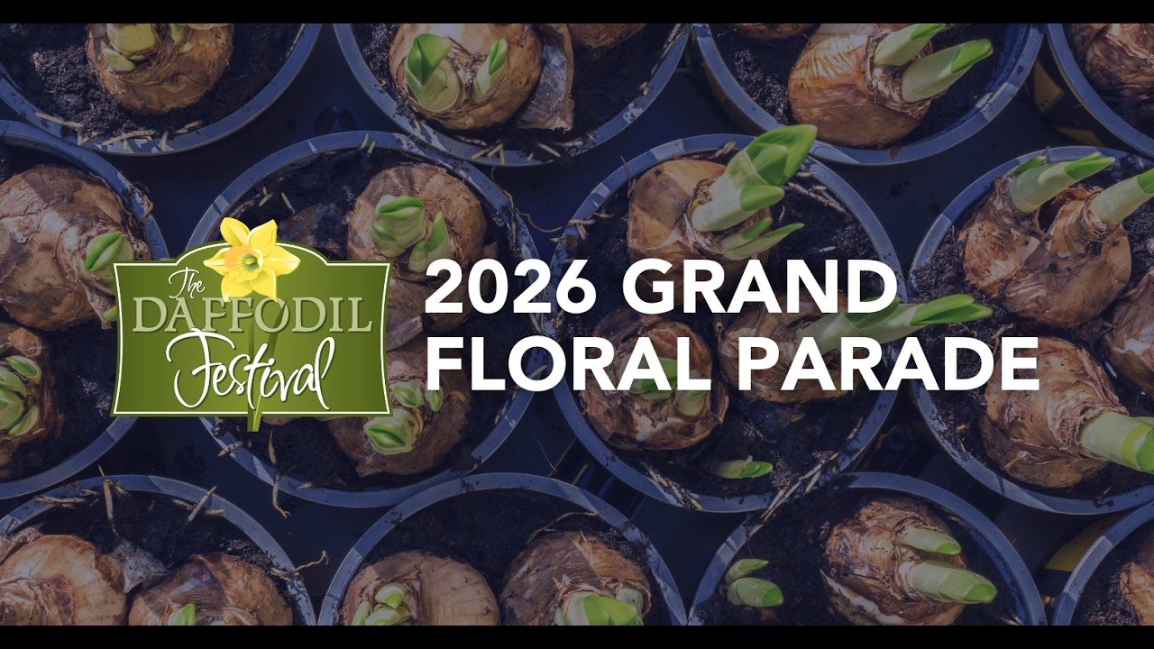 Mutambo weDaffodil Grand Floral Parade muTacoma musi wa4 Kubvumbi, 2026