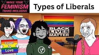 Different types of Liberals be like