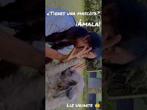 ¿Tienes una mascota? ¡ÁMALA! | Liz Uriarte 👑
