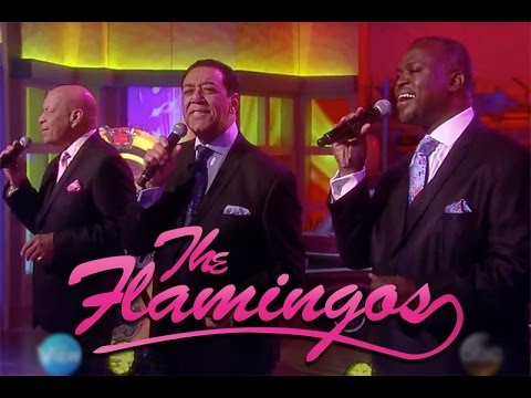 The Flamingos on The View