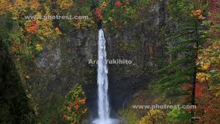 紅葉の白水の滝