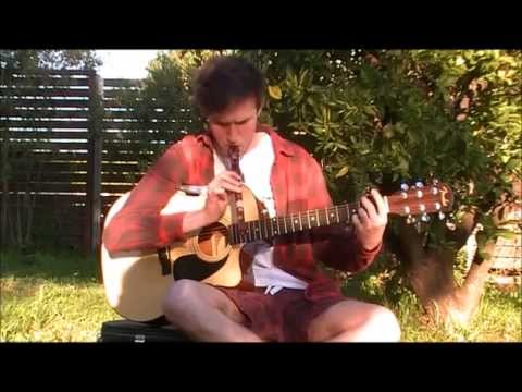 Music 1 HSC Performance - Braveheart by Luca Stricagnoli