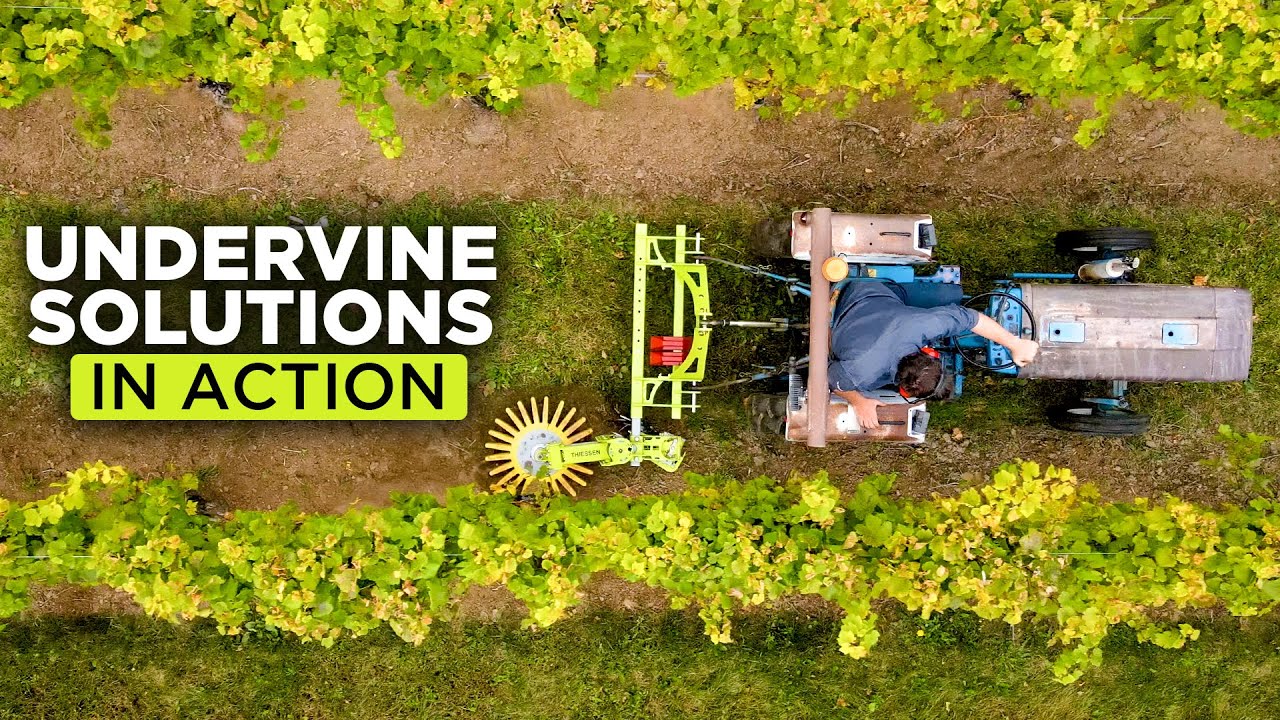 Thiessen ACS And Hiller- UNDERVINE Solutions From Tilmor