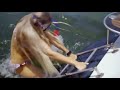 113 Allie DeBerry In Deadly Excursion