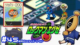 【初見実況#45  納豆がいく電脳世界　ロックマンエクゼ実況【納豆】