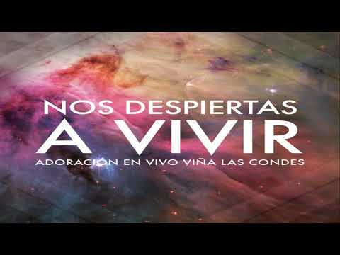 Vineyard Worship  - Amor Furioso