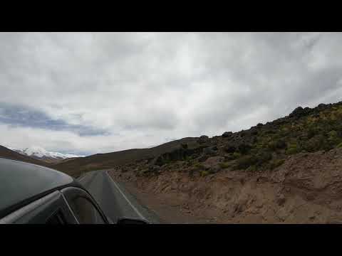 Alan Walker Style , Zoe Wees - Control | MA - MUSIC