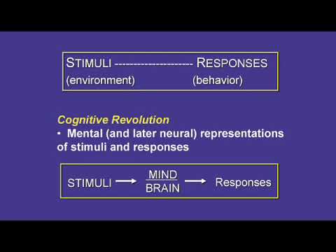 Introduction to Psychology Course MIT Lecture【#2 of 24 | Science and Research】