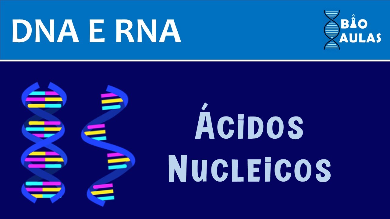 Estrutura dos Ácidos Nucleicos: DNA e RNA - Bioquímica (Bio Aulas)
