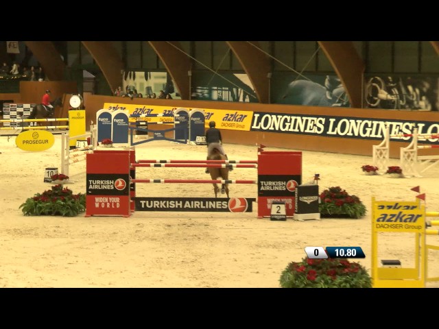 Mother Half-sister Grand Prix horse Golden Hawk, rider Shane Breen