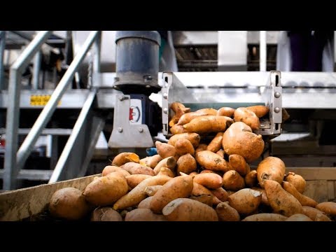 Farm Fresh Takes Sustainability to a New Level with Solar