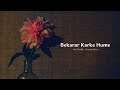 Bekarar Karke Hume Yun Na Jaiye Aapko Humari Kasam Laut Aaiye Hindi Song Status