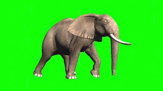 Download lagu No Copyright Gajah #gajah #greenscreenvideo #animasibergerak mp3