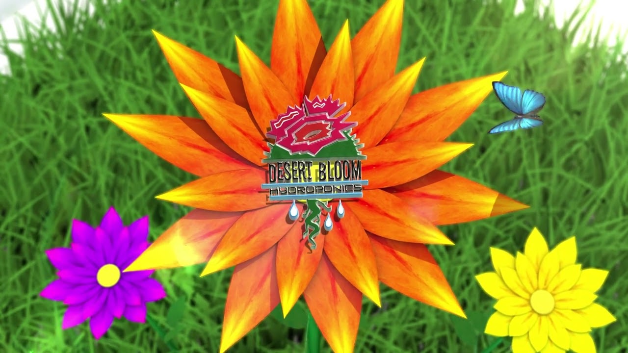 Video: Field FLOWER OPENER