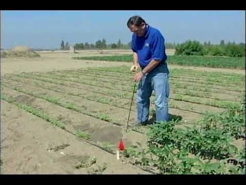 Pocket Gopher - Finding Tunnel Systems