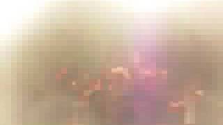 gogol bordello @ torcito 20/08/08 harem in tuscany