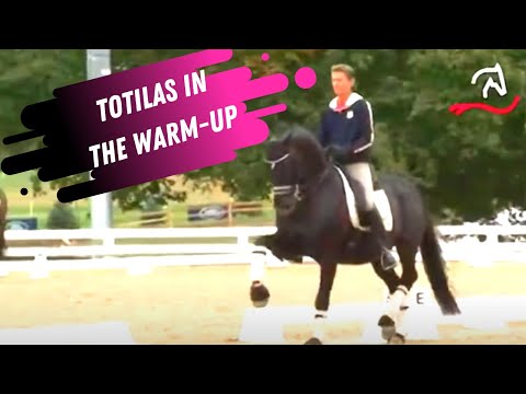 Totilas & Edward Gal Grand Prix Dressage Warm-Up At The World Equestrian Games