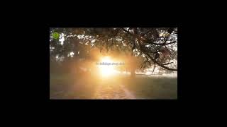 Download lagu The Wisdom of Prophet Abraham's Circumcision mp3