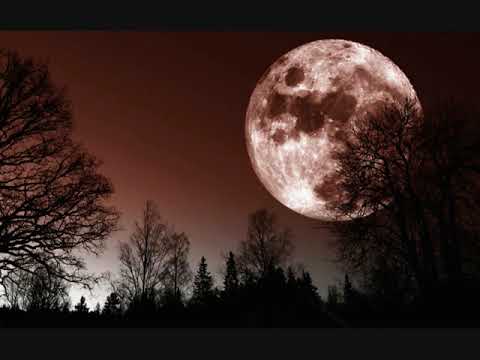 Zehra Deović   Sini, sini, sjaj mjeseče