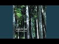 Extraordinary Way (Antillas Mix)