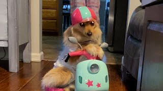 Pretty In Pink Pup | FUNNIEST Pets of the Month