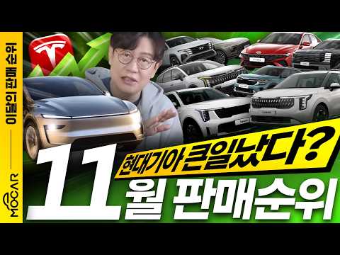11월 이달의 판매순위 비밀 공개...현대기아의 어려움, 테슬라의 급부상에 충격