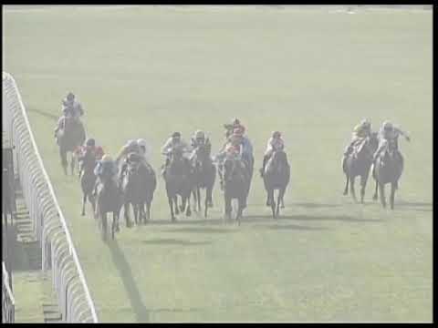 Macau Meeting Race 5(0149) - THE NORWICH 2019-02-03