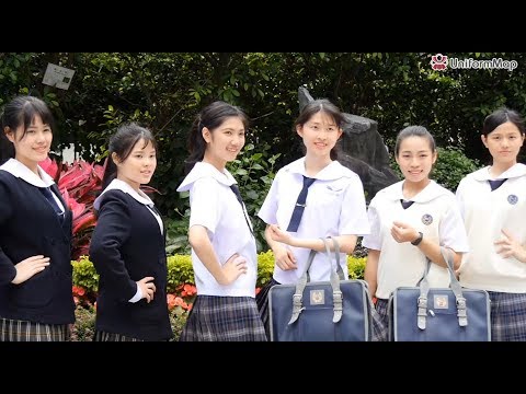 稻江護家介紹