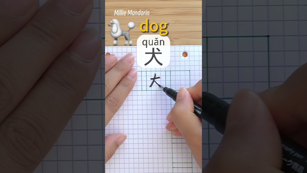 Learn Chinese Character⎮Quan: DOG⎮Handwriting⎮Chinese Hanzi⎮Write Chinese⎮Millie Mandarin