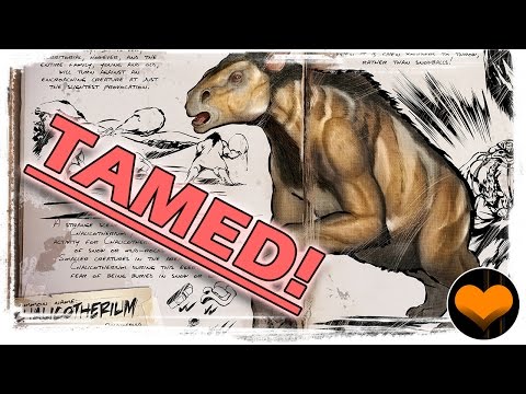 CHALICOTHERIUM TAME (STRUGGLE TAME) - ARK: Survival Evolved