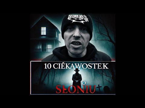 10 CIEKAWOSTEK O SŁONIU- Wojciech Zawadzki "Słoń"