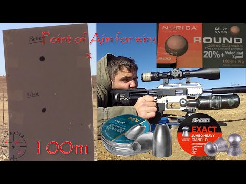 THE TRUTH: H&N Slugs VS Pellets in 30+mph wind