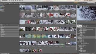 How to open images in Camera Raw CS6