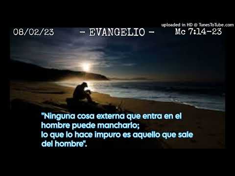 ORANDO EL EVANGELIO - 08-02-23 - P. Manuel Penagos