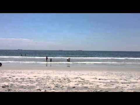 Marquina walking Lorenzo to the Ocean