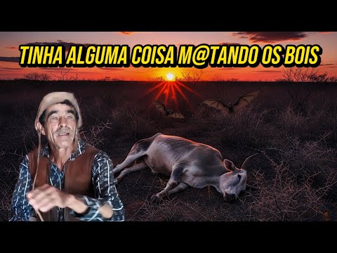 O DIA EM QUE ZOINHO QUASE PERDE A BOIADA INTEIRA, ALGUMA COISA ESTAVA ACABANDO COM O GADO
